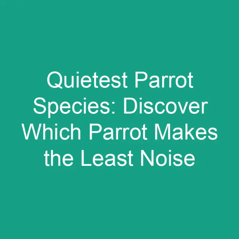 Quietest Parrot Species: Discover Which Parrot Makes the Least Noise