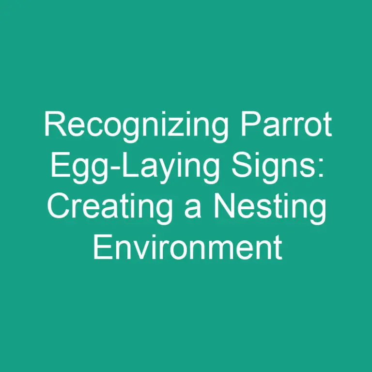 Recognizing Parrot Egg-Laying Signs: Creating a Nesting Environment