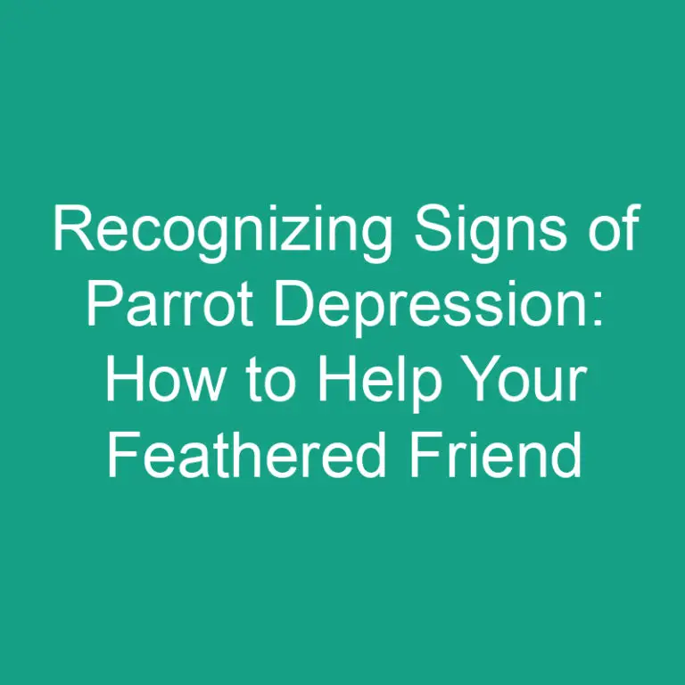 Recognizing Signs of Parrot Depression: How to Help Your Feathered Friend