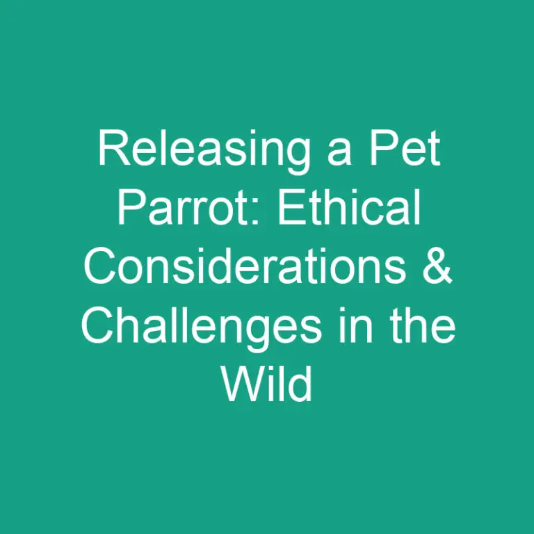 Releasing a Pet Parrot: Ethical Considerations & Challenges in the Wild