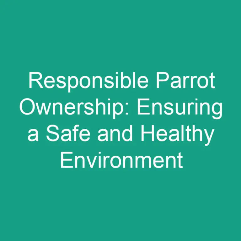 Responsible Parrot Ownership: Ensuring a Safe and Healthy Environment