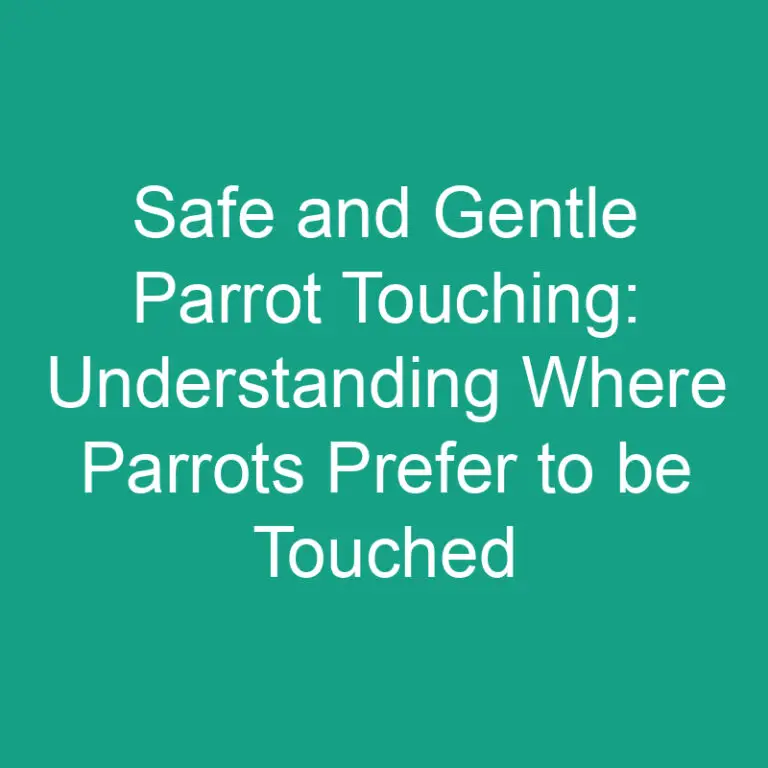 Safe and Gentle Parrot Touching: Where Parrots Prefer to be Touched