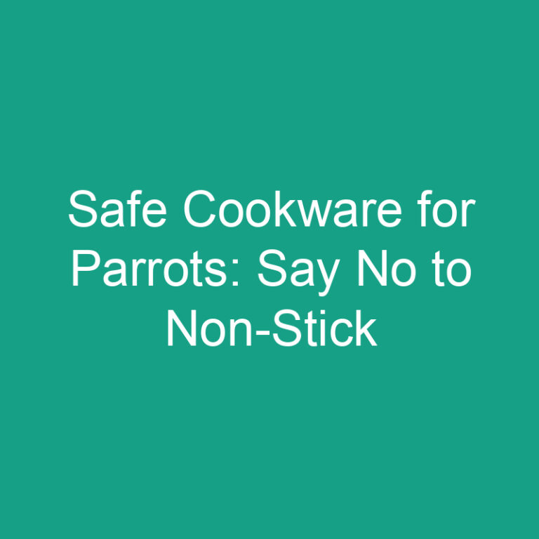 Safe Cookware for Parrots: Say No to Non-Stick
