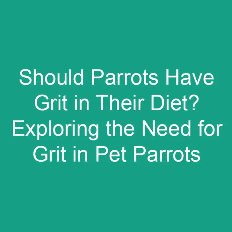 Should Parrots Have Grit in Their Diet? Exploring the Need for Grit in Pet Parrots