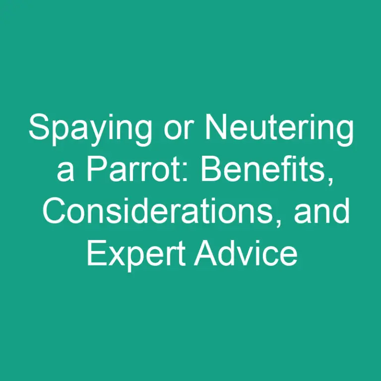 Spaying or Neutering a Parrot: Benefits, Considerations, and Expert Advice