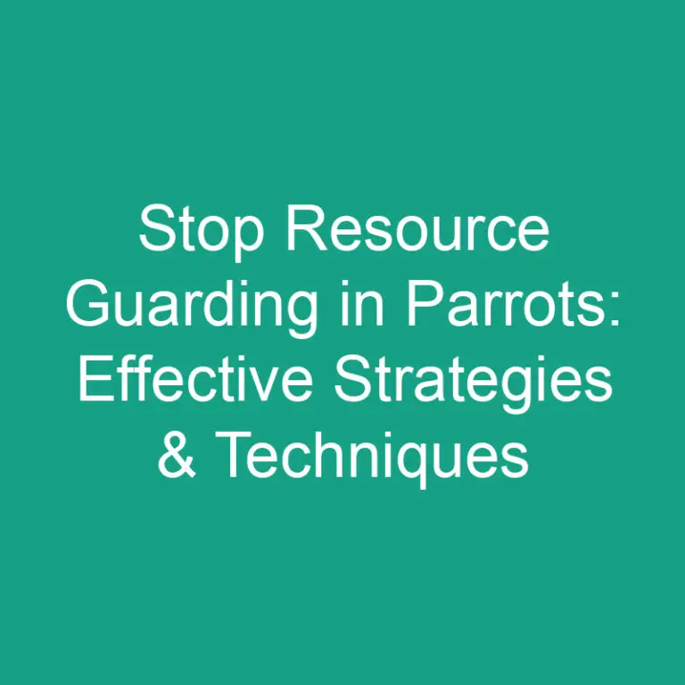 Stop Resource Guarding in Parrots: Effective Strategies & Techniques