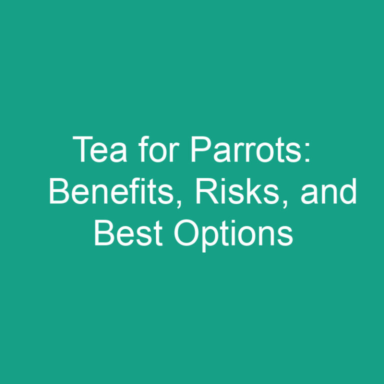 Tea for Parrots: Benefits, Risks, and Best Options