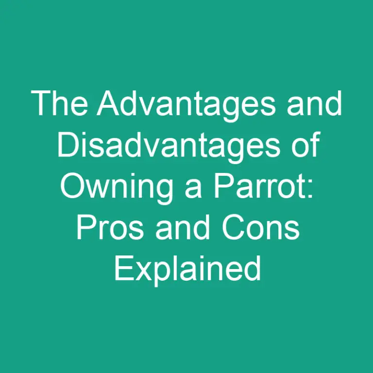 The Advantages and Disadvantages of Owning a Parrot: Pros and Cons Explained