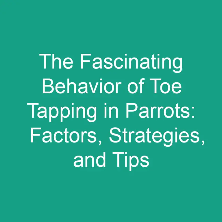 The Fascinating Behavior of Toe Tapping in Parrots: Factors, Strategies, and Tips