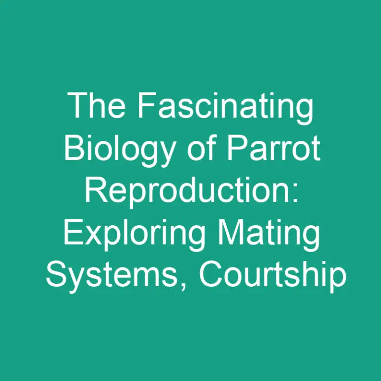 The Fascinating Biology of Parrot Reproduction: Exploring Mating Systems, Courtship