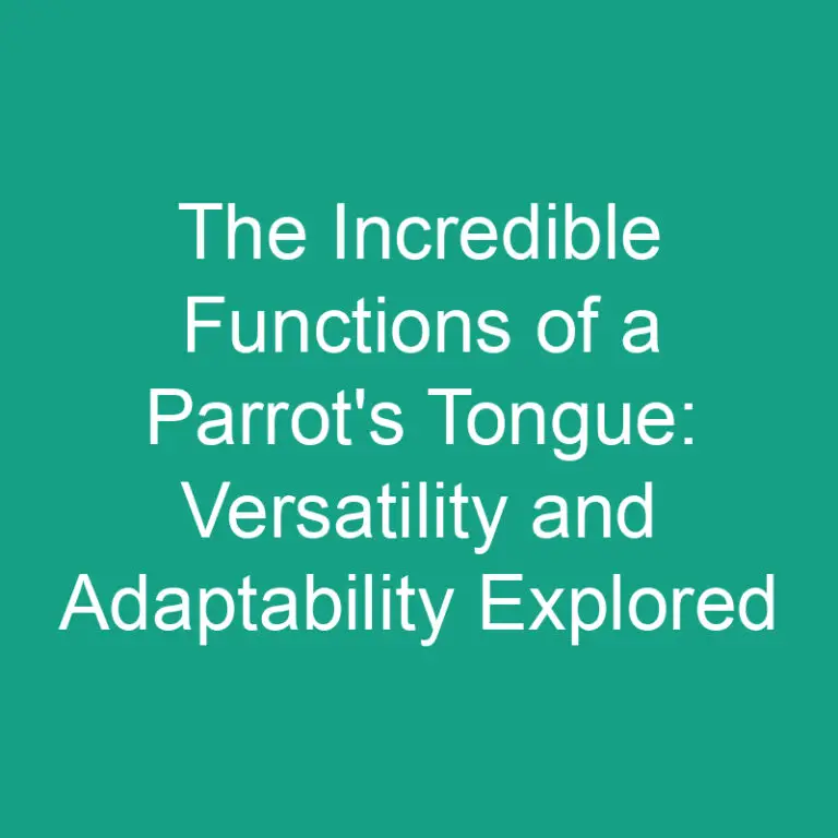 The Incredible Functions of a Parrot’s Tongue: Versatility and Adaptability Explored