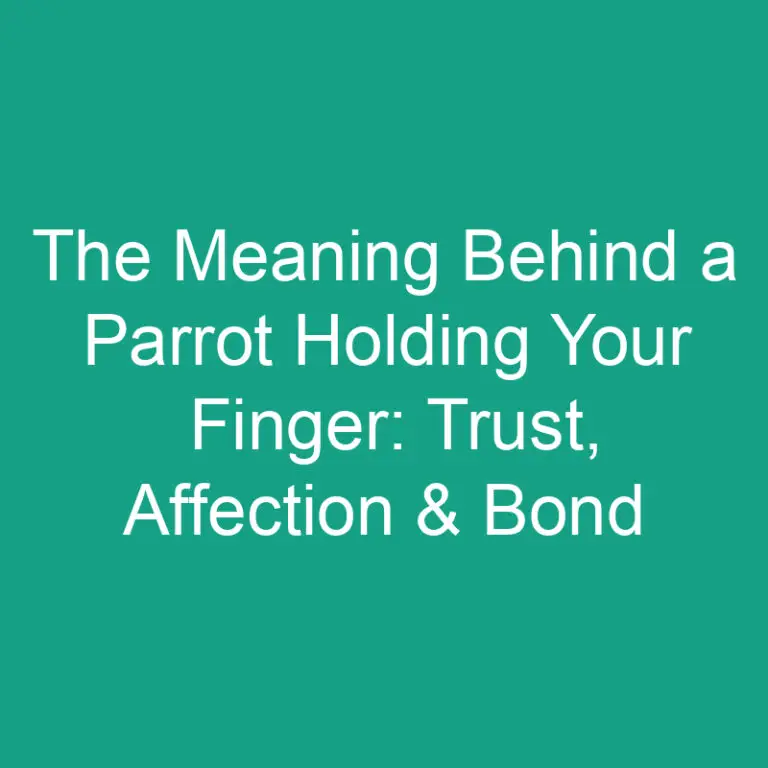The Meaning Behind a Parrot Holding Your Finger: Trust, Affection & Bond