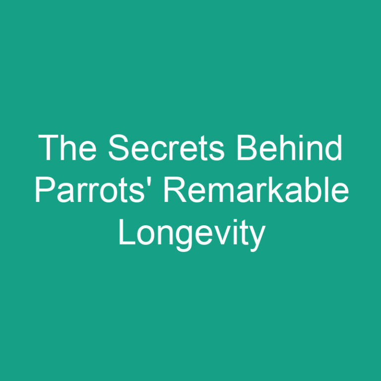 The Secrets Behind Parrots’ Remarkable Longevity