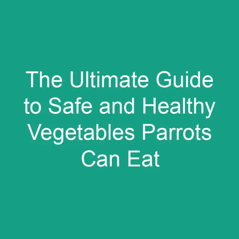 The Ultimate Guide to Safe and Healthy Vegetables Parrots Can Eat