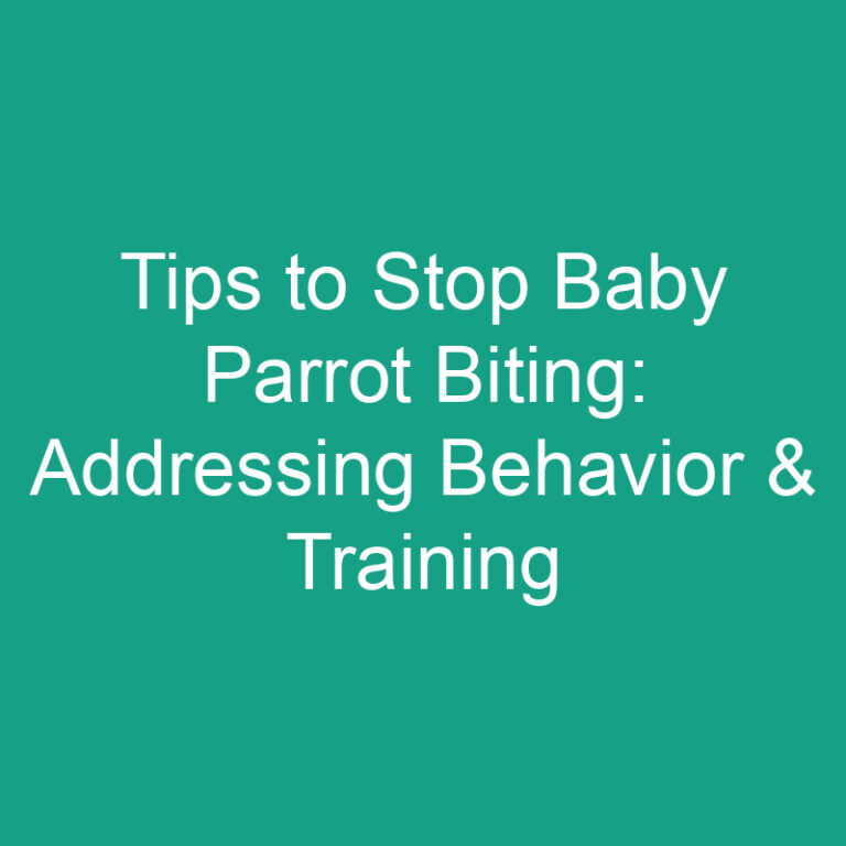 Tips to Stop Baby Parrot Biting: Addressing Behavior & Training