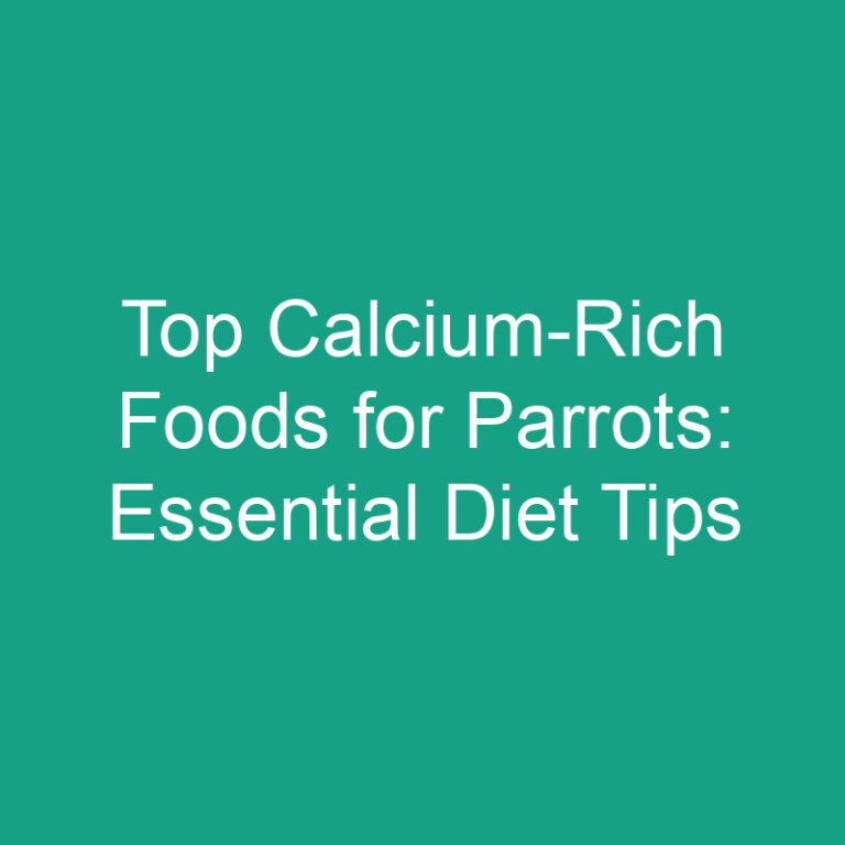 Top Calcium-Rich Foods for Parrots: Essential Diet Tips