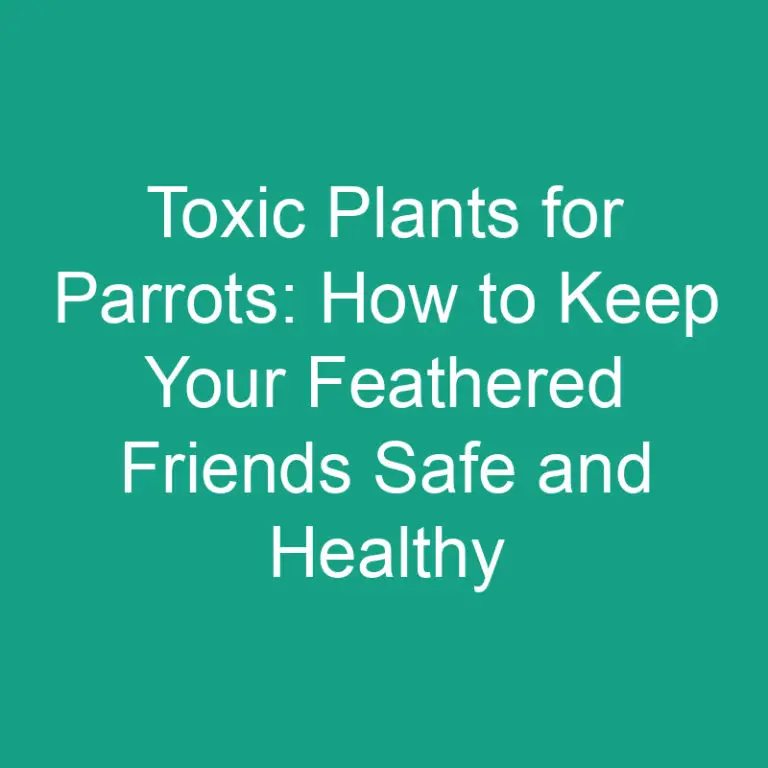 Toxic Plants for Parrots: How to Keep Your Feathered Friends Safe and Healthy