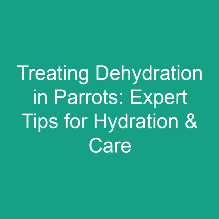 Treating Dehydration in Parrots: Expert Tips for Hydration & Care