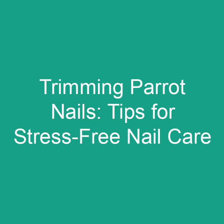 Trimming Parrot Nails: Tips for Stress-Free Nail Care