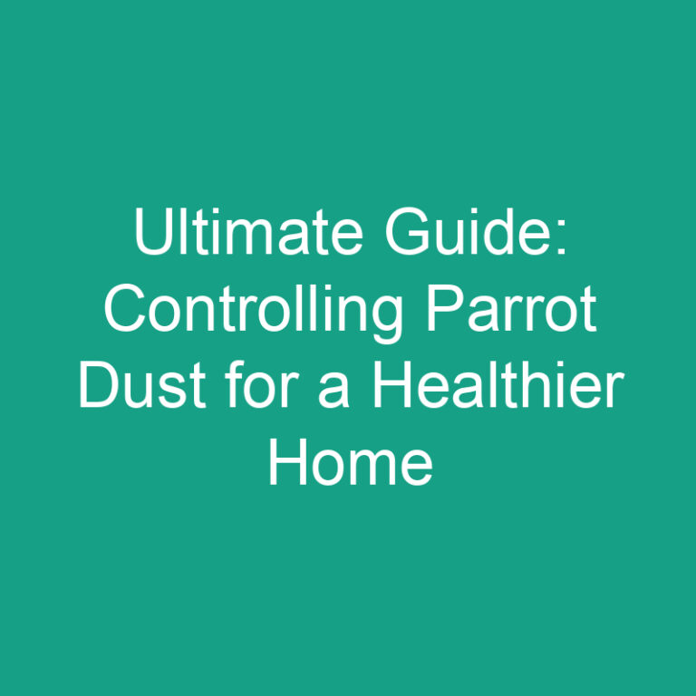 Ultimate Guide: Controlling Parrot Dust for a Healthier Home