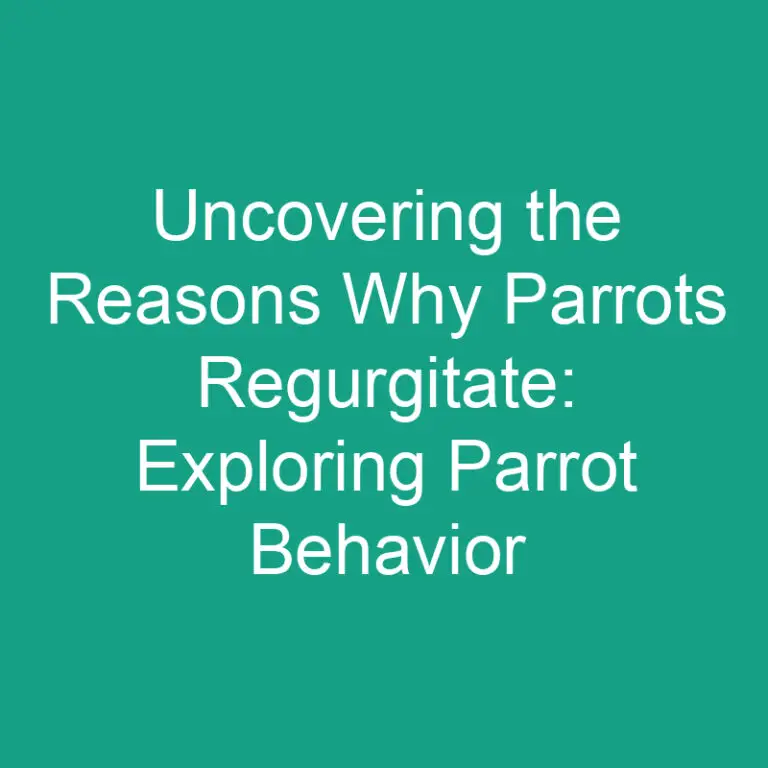 Uncovering the Reasons Why Parrots Regurgitate: Exploring Parrot Behavior
