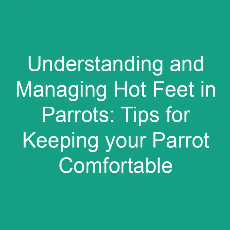 Understanding and Managing Hot Feet in Parrots: Tips for Keeping your Parrot Comfortable