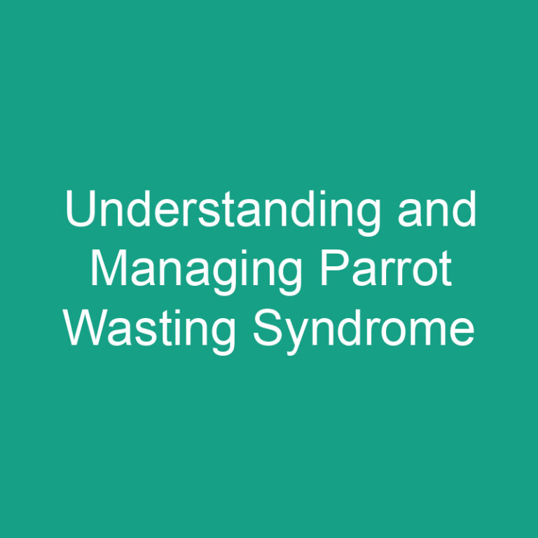 Understanding and Managing Parrot Wasting Syndrome