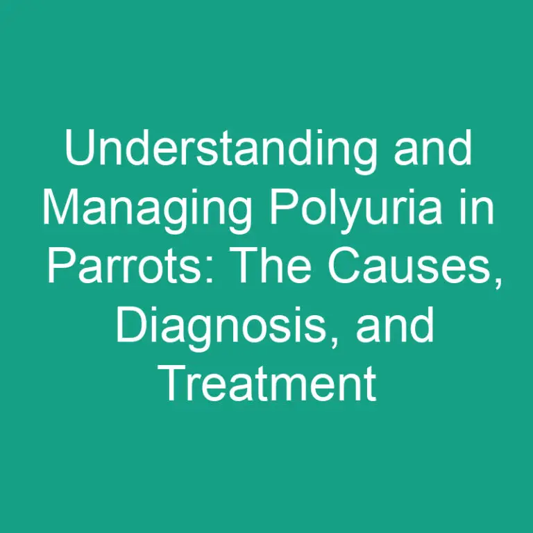 Understanding and Managing Polyuria in Parrots: The Causes, Diagnosis, and Treatment