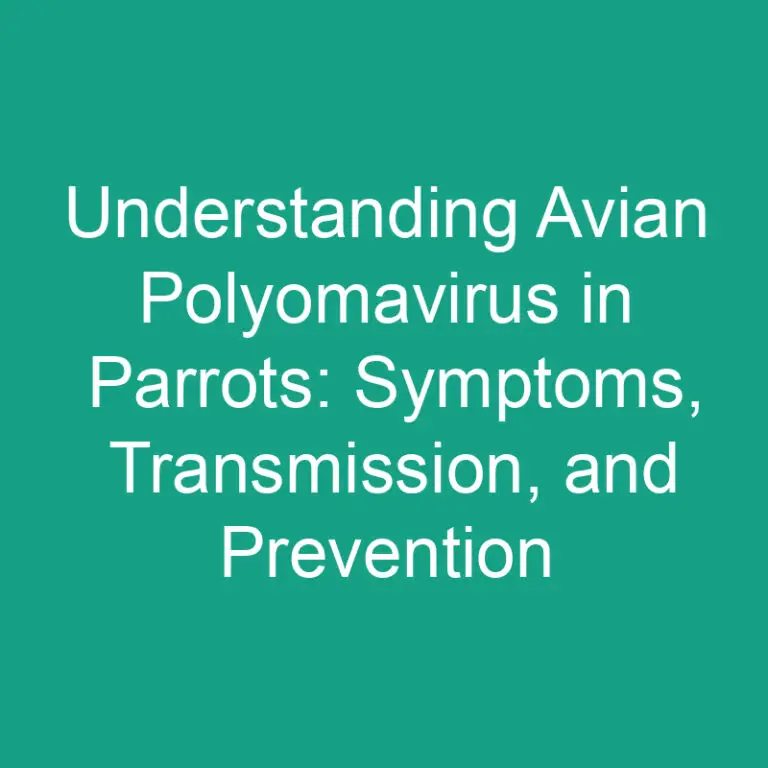 Understanding Avian Polyomavirus in Parrots: Symptoms, Transmission, and Prevention