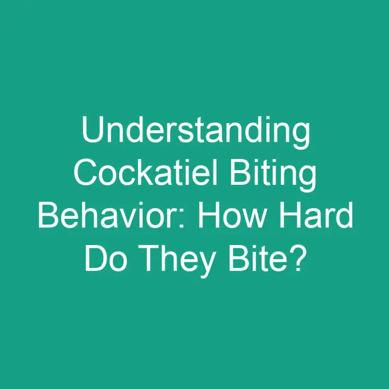 Cockatiel Biting Behavior: How Hard Do They Bite?