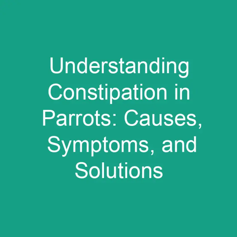 Understanding Constipation in Parrots: Causes, Symptoms, and Solutions