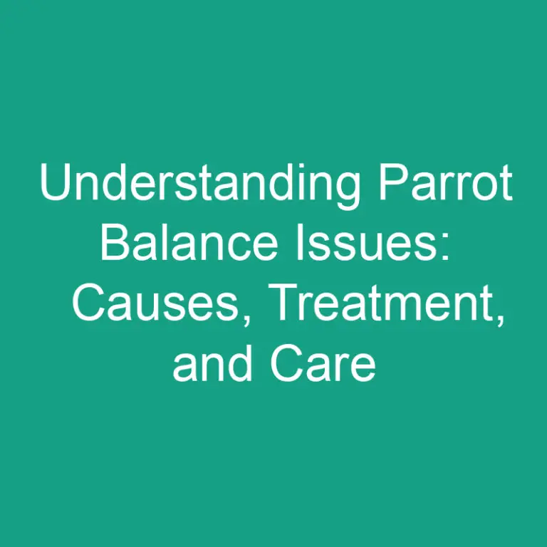 Understanding Parrot Balance Issues: Causes, Treatment, and Care