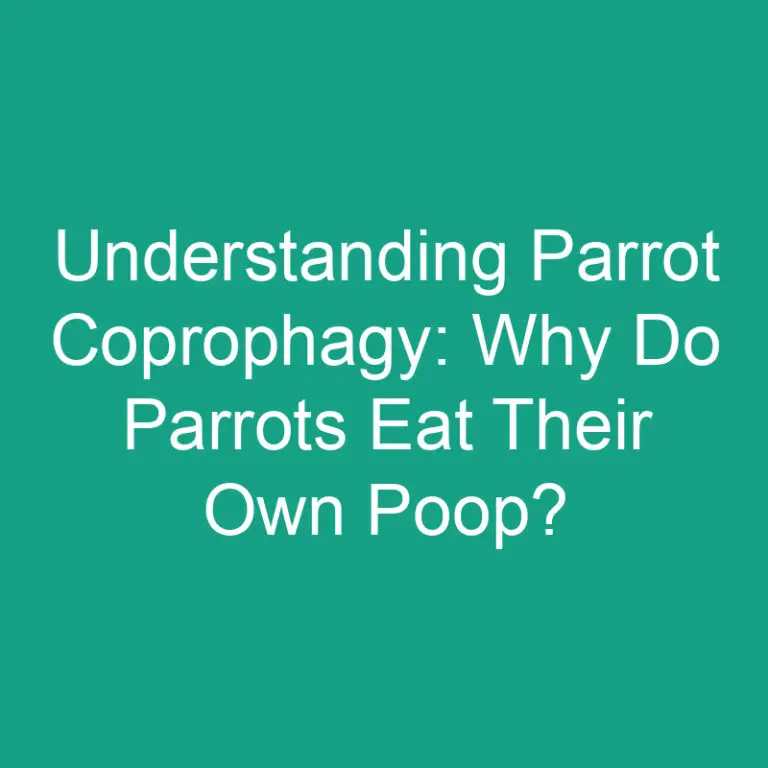 Understanding Parrot Coprophagy: Why Do Parrots Eat Their Own Poop?
