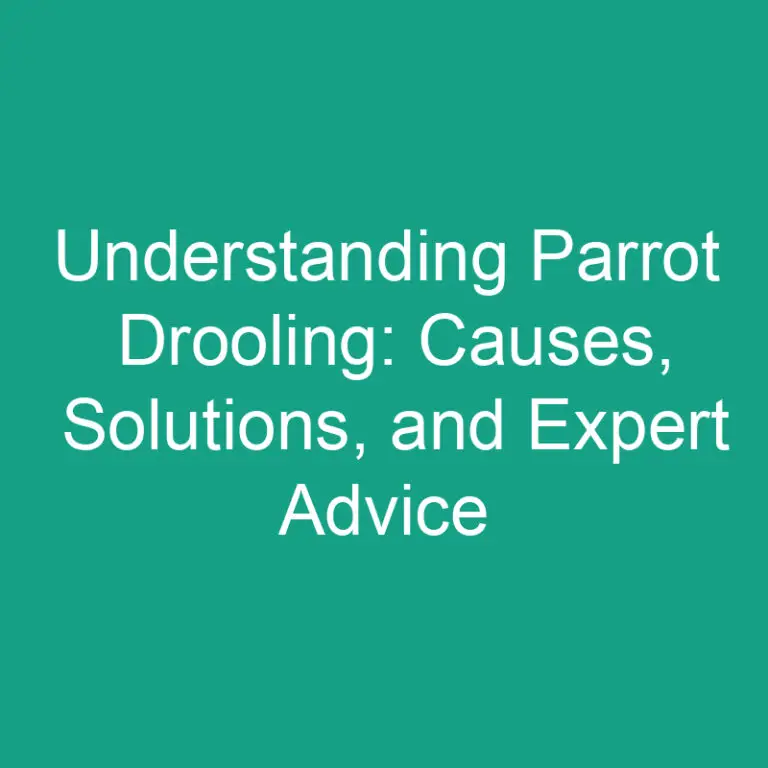 Parrot Drooling: Causes, Solutions, and Expert Advice