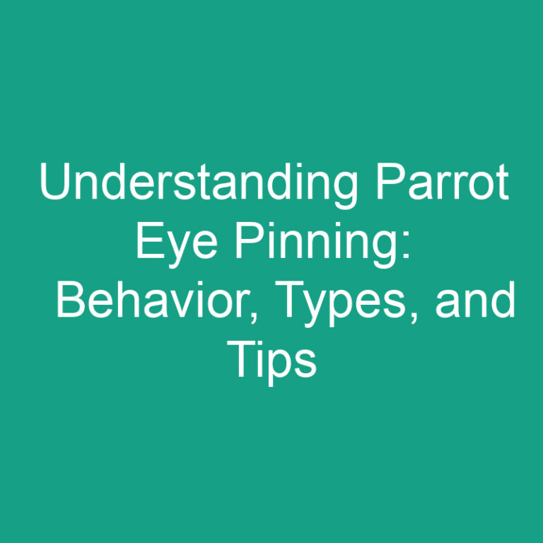 Understanding Parrot Eye Pinning: Behavior, Types, and Tips