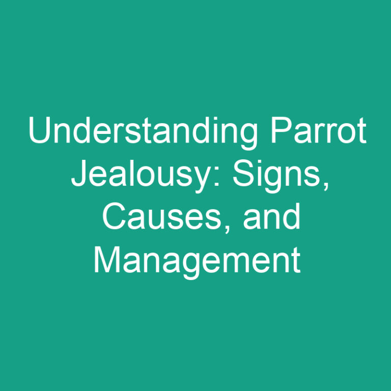 Understanding Parrot Jealousy: Signs, Causes, and Management