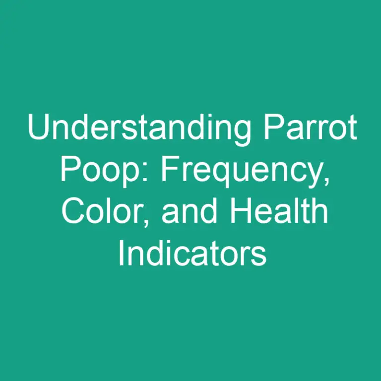 Understanding Parrot Poop: Frequency, Color, and Health Indicators