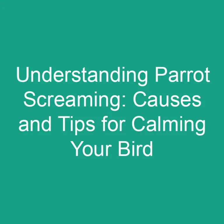 Parrot Screaming: Causes and Tips for Calming Your Bird