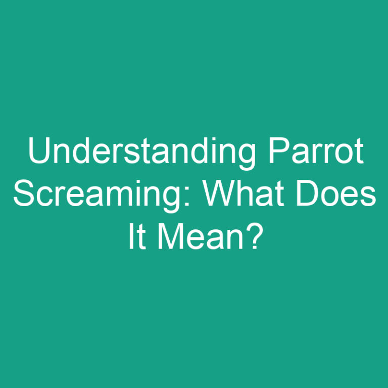 Understanding Parrot Screaming: What Does It Mean?