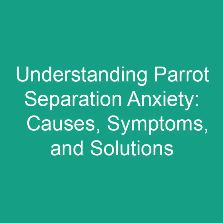Parrot Separation Anxiety: Causes, Symptoms, and Solutions
