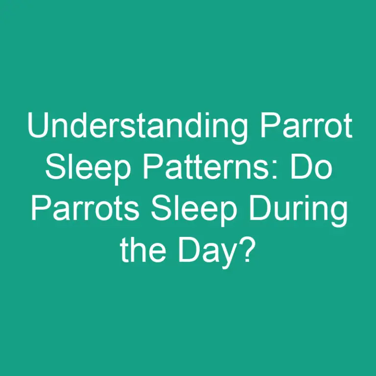 Understanding Parrot Sleep Patterns: Do Parrots Sleep During the Day?