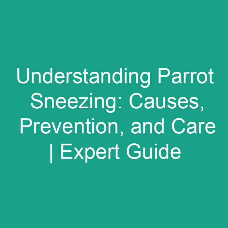 Understanding Parrot Sneezing: Causes, Prevention and Care