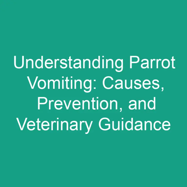 Understanding Parrot Vomiting: Causes, Prevention, and Vet Tips