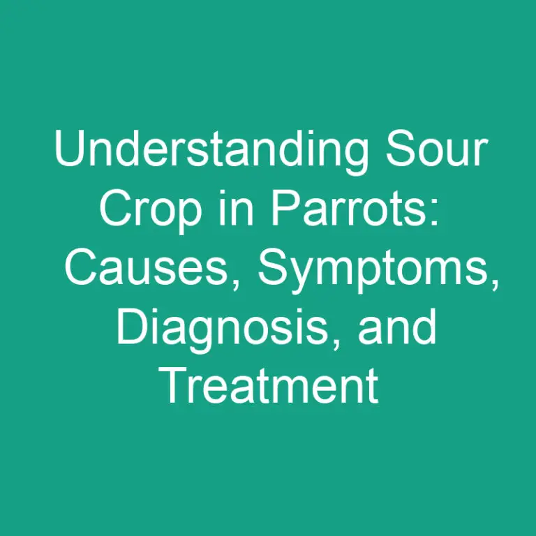 Understanding Sour Crop in Parrots: Causes, Symptoms, Diagnosis, and Treatment
