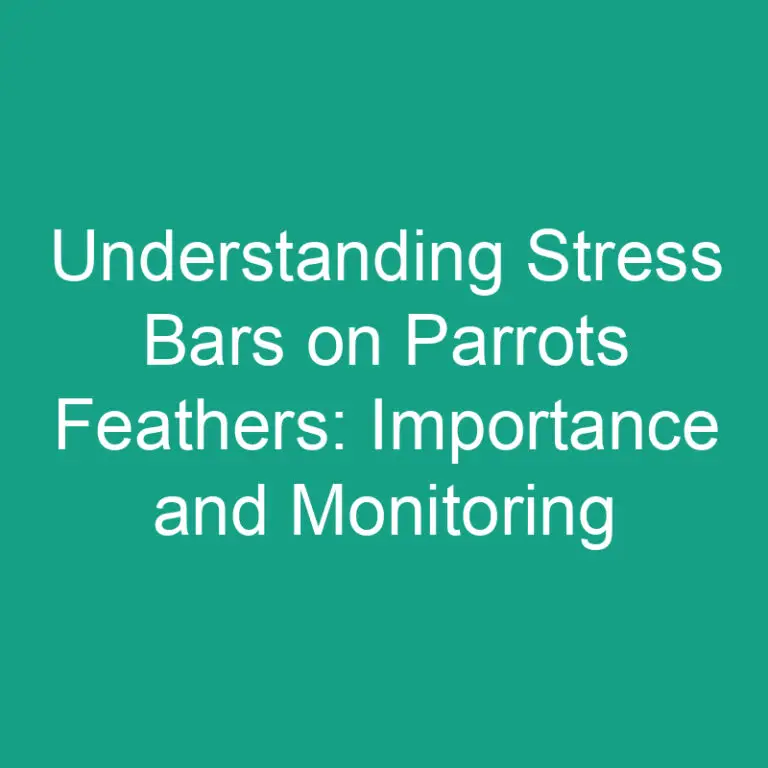 Stress Bars on Parrots Feathers: Importance and Monitoring