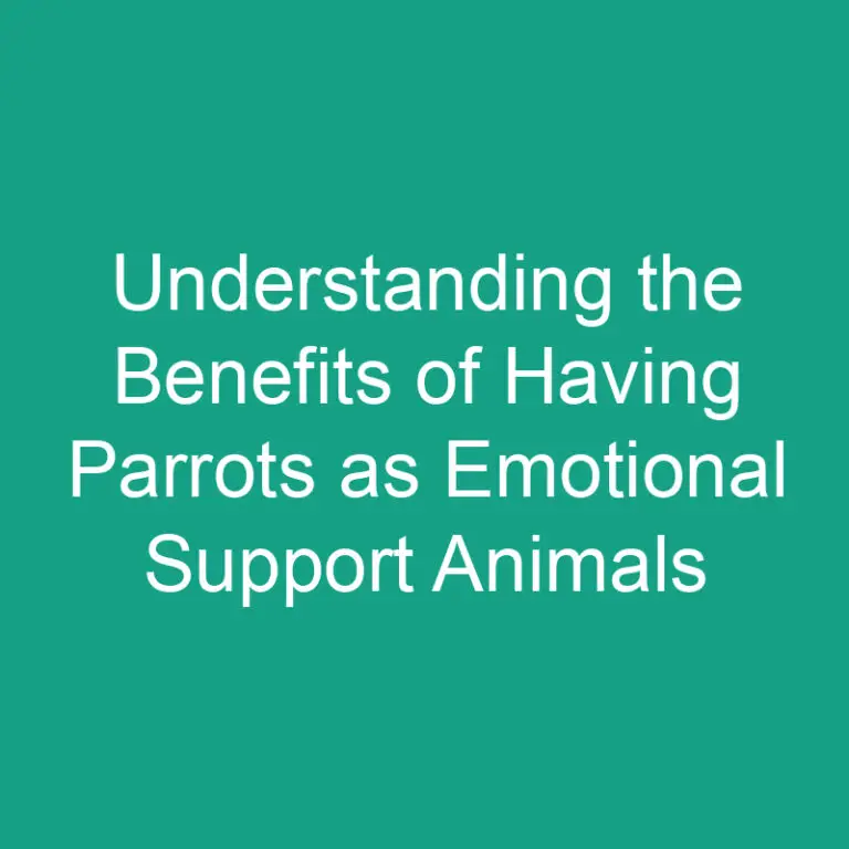 Understanding the Benefits of Having Parrots as Emotional Support Animals