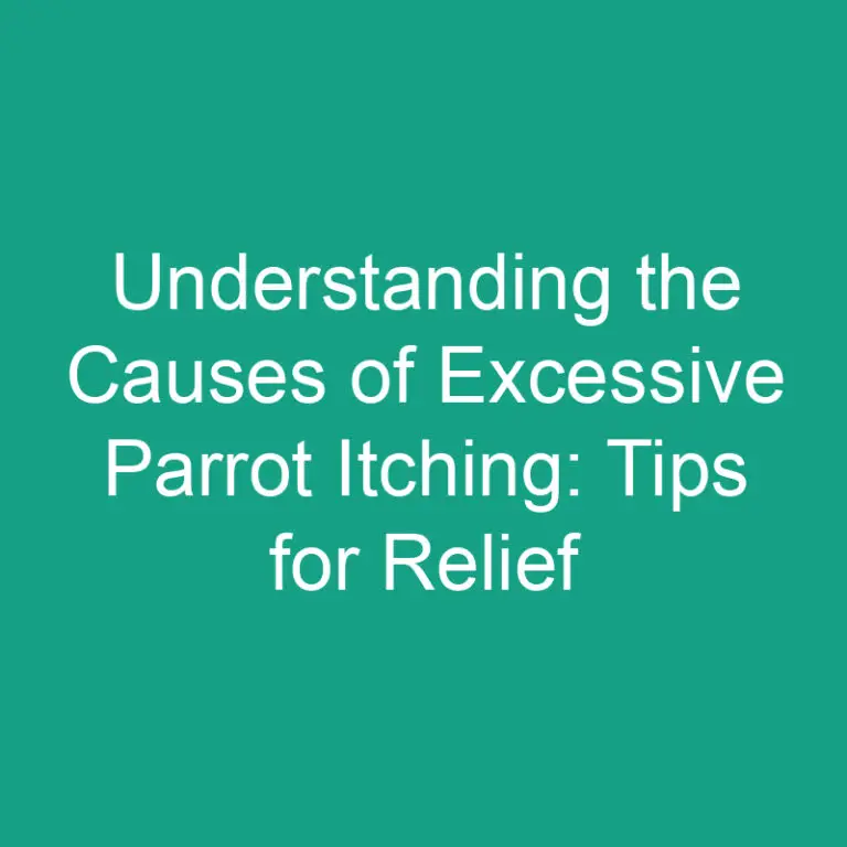 Understanding the Causes of Excessive Parrot Itching: Tips for Relief