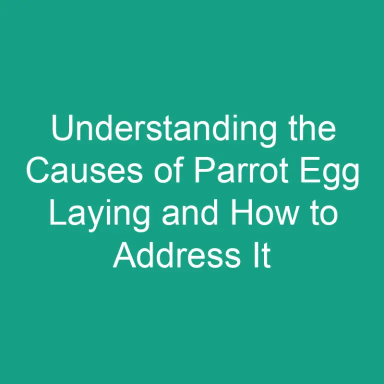 Understanding the Causes of Parrot Egg Laying and How to Address It