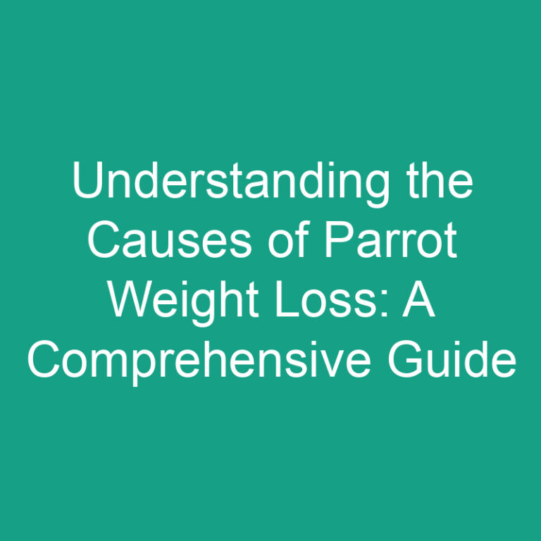 Understanding the Causes of Parrot Weight Loss: A Comprehensive Guide