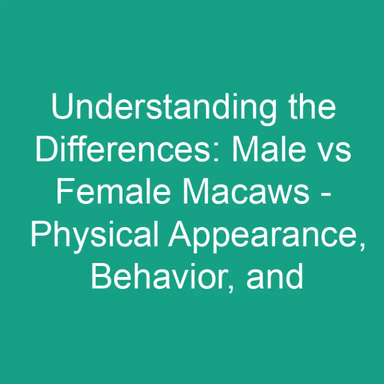 Understanding the Differences: Male vs Female Macaws – Physical Appearance, Behavior, and More